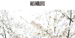 組織図